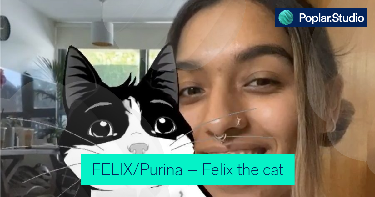 Cat owners petition to recall Purina's Felix As Good As It Looks